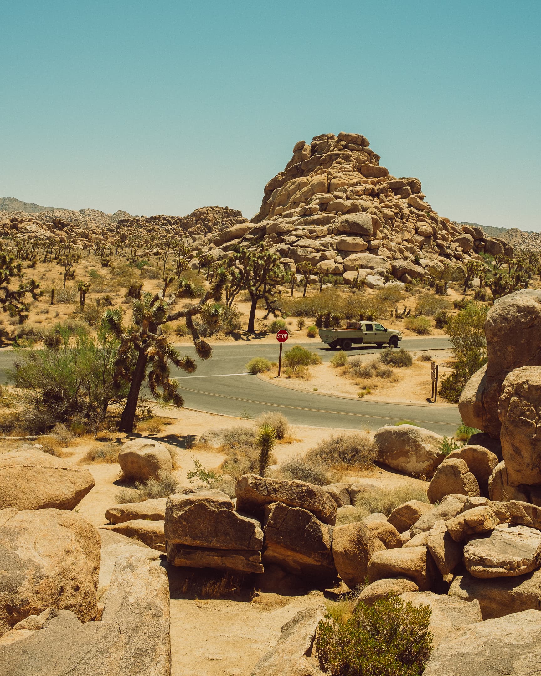 Paysage désertique de Joshua Tree National Park