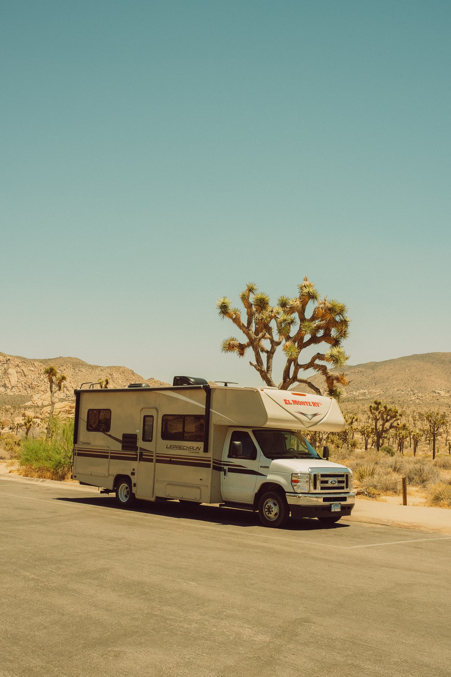 Camping-car devant un arbre de Josué dans le désert
