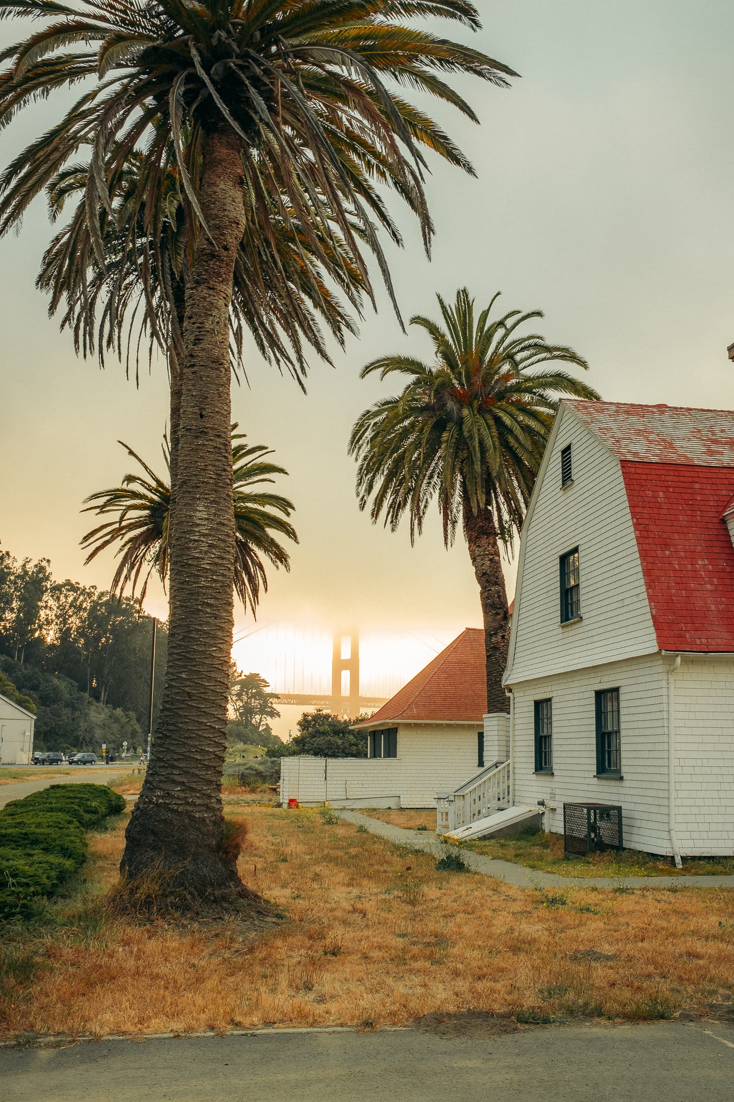 Maison du Presidio avec palmiers et Golden Gate Bridge dans la brume