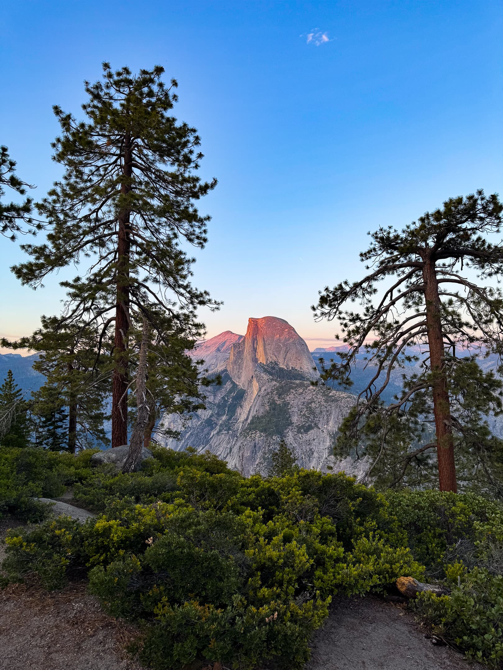Half Dome encadré par les pins depuis Glacier Point